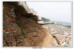 02-08-2009 東平洲F_139