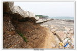 02-08-2009 東平洲F_140
