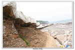 02-08-2009 東平洲F_141