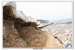 02-08-2009 東平洲F_143