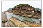02-08-2009 東平洲F_163