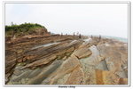 02-08-2009 東平洲F_166