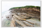 02-08-2009 東平洲F_167