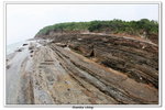 02-08-2009 東平洲F_168