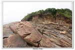 02-08-2009 東平洲F_170