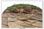 02-08-2009 東平洲F_171