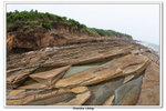 02-08-2009 東平洲F_172