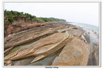 02-08-2009 東平洲F_173