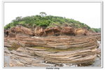 02-08-2009 東平洲F_175
