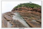 02-08-2009 東平洲F_176