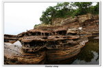 02-08-2009 東平洲F_235