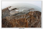 02-08-2009 東平洲F_237