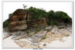 02-08-2009 東平洲F_240