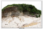 02-08-2009 東平洲F_241