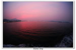 02-08-2009 東平洲F_246