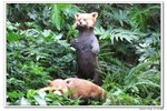萬善堂_241