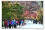內藏山_130