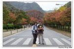 內藏山_133