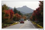 內藏山_135