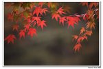 內藏山_138