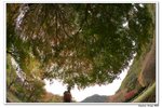 內藏山_144