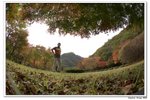 內藏山_145