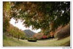 內藏山_146