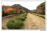 內藏山_147