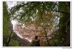 內藏山_148