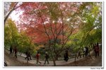 內藏山_149