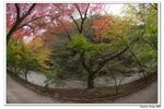 內藏山_150