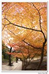 內藏山_151