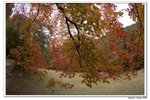 內藏山_155