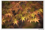 內藏山_158