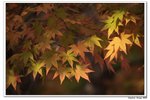內藏山_159