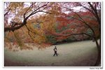 內藏山_165