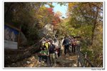 韓國大屯山_079