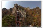 韓國大屯山_081