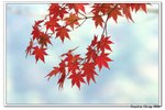 韓國大屯山_098