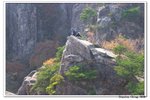 韓國大屯山_103