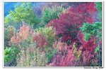 韓國大屯山_106
