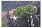 韓國大屯山_114