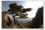 韓國大屯山_119