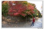 韓國大屯山_124