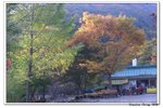 韓國大屯山_127