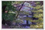 韓國俗離山_085