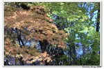 韓國俗離山_086