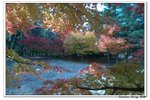韓國俗離山_088