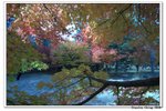 韓國俗離山_089