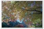 韓國俗離山_090